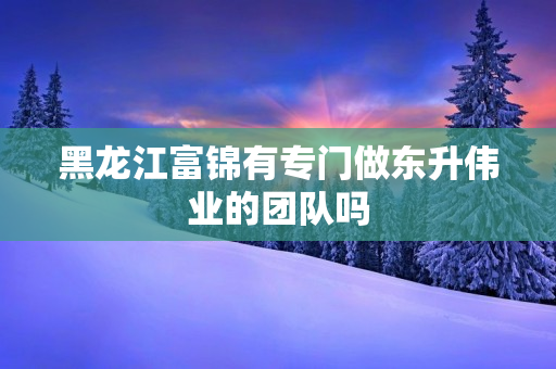 黑龙江富锦有专门做东升伟业的团队吗