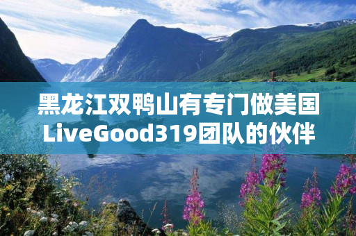 黑龙江双鸭山有专门做美国LiveGood319团队的伙伴吗