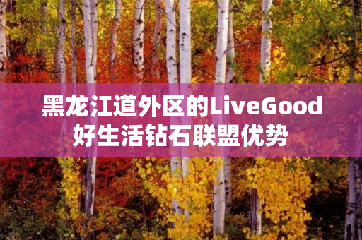 黑龙江道外区的LiveGood好生活钻石联盟优势