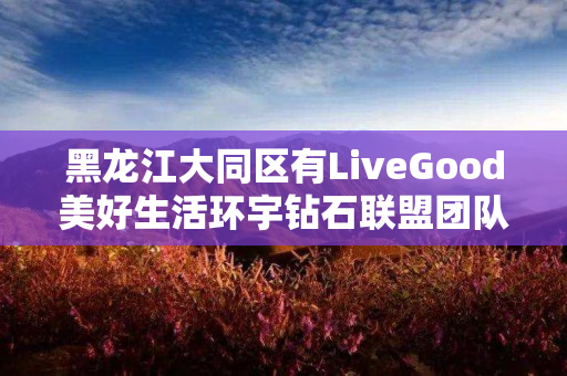 黑龙江大同区有LiveGood美好生活环宇钻石联盟团队吗