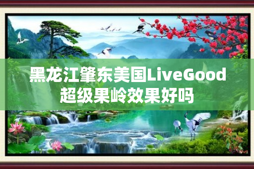 黑龙江肇东美国LiveGood超级果岭效果好吗