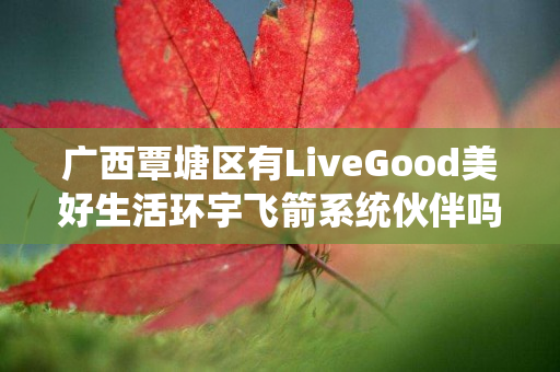 广西覃塘区有LiveGood美好生活环宇飞箭系统伙伴吗