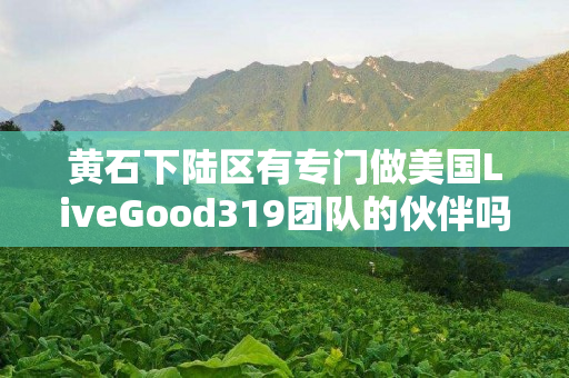 黄石下陆区有专门做美国LiveGood319团队的伙伴吗