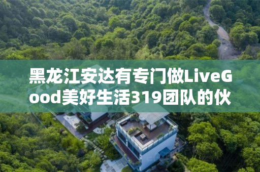 黑龙江安达有专门做LiveGood美好生活319团队的伙伴吗