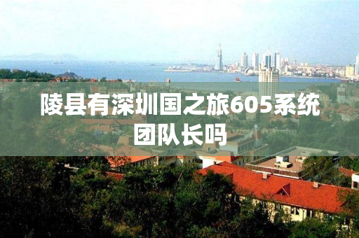 陵县有深圳国之旅605系统团队长吗