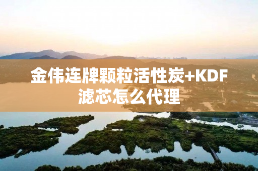 金伟连牌颗粒活性炭+KDF滤芯怎么代理