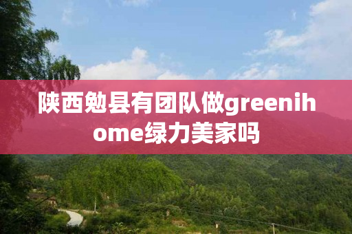 陕西勉县有团队做greenihome绿力美家吗