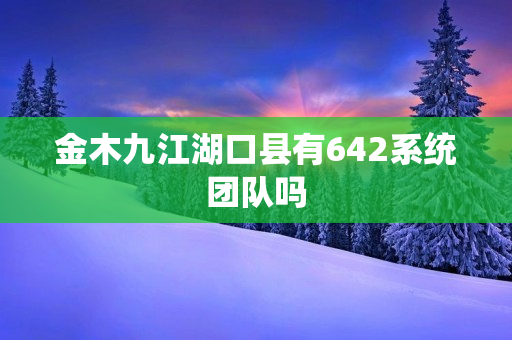 金木九江湖口县有642系统团队吗