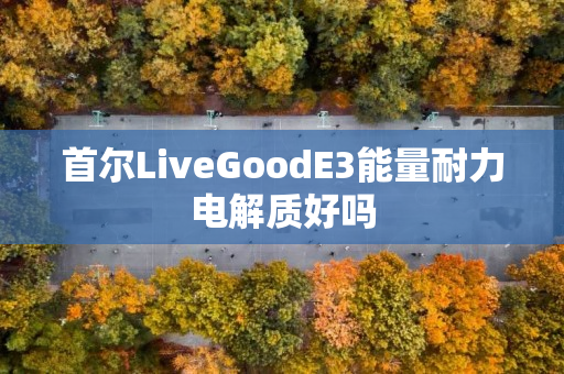 首尔LiveGoodE3能量耐力电解质好吗