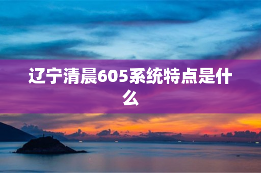 辽宁清晨605系统特点是什么