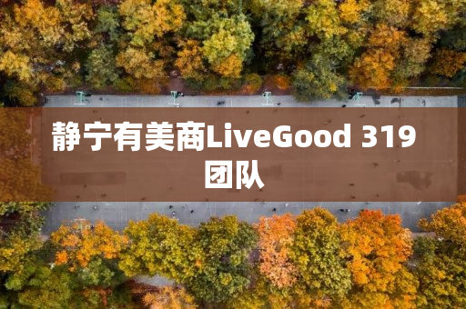 静宁有美商LiveGood 319团队