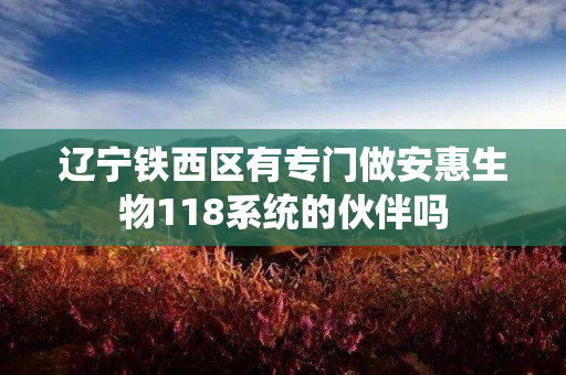 辽宁铁西区有专门做安惠生物118系统的伙伴吗