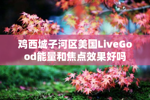 鸡西城子河区美国LiveGood能量和焦点效果好吗