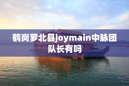 鹤岗萝北县joymain中脉团队长有吗