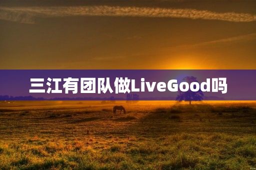 三江有团队做LiveGood吗