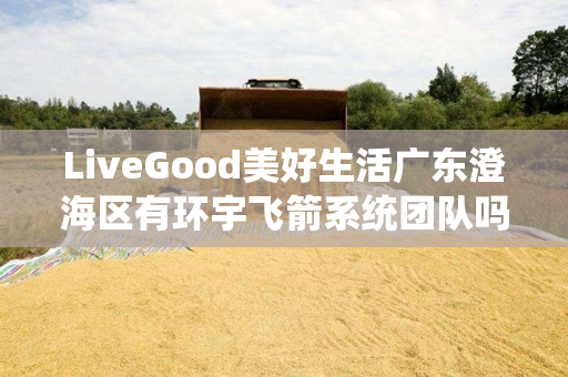 LiveGood美好生活广东澄海区有环宇飞箭系统团队吗