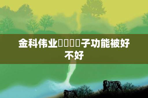 金科伟业貢緞負離子功能被好不好