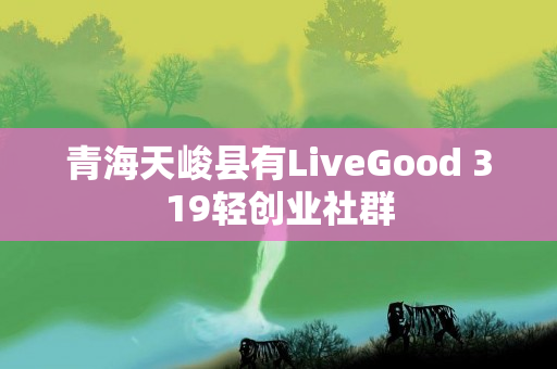 青海天峻县有LiveGood 319轻创业社群