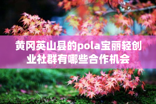 黄冈英山县的pola宝丽轻创业社群有哪些合作机会