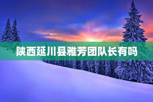 陕西延川县雅芳团队长有吗